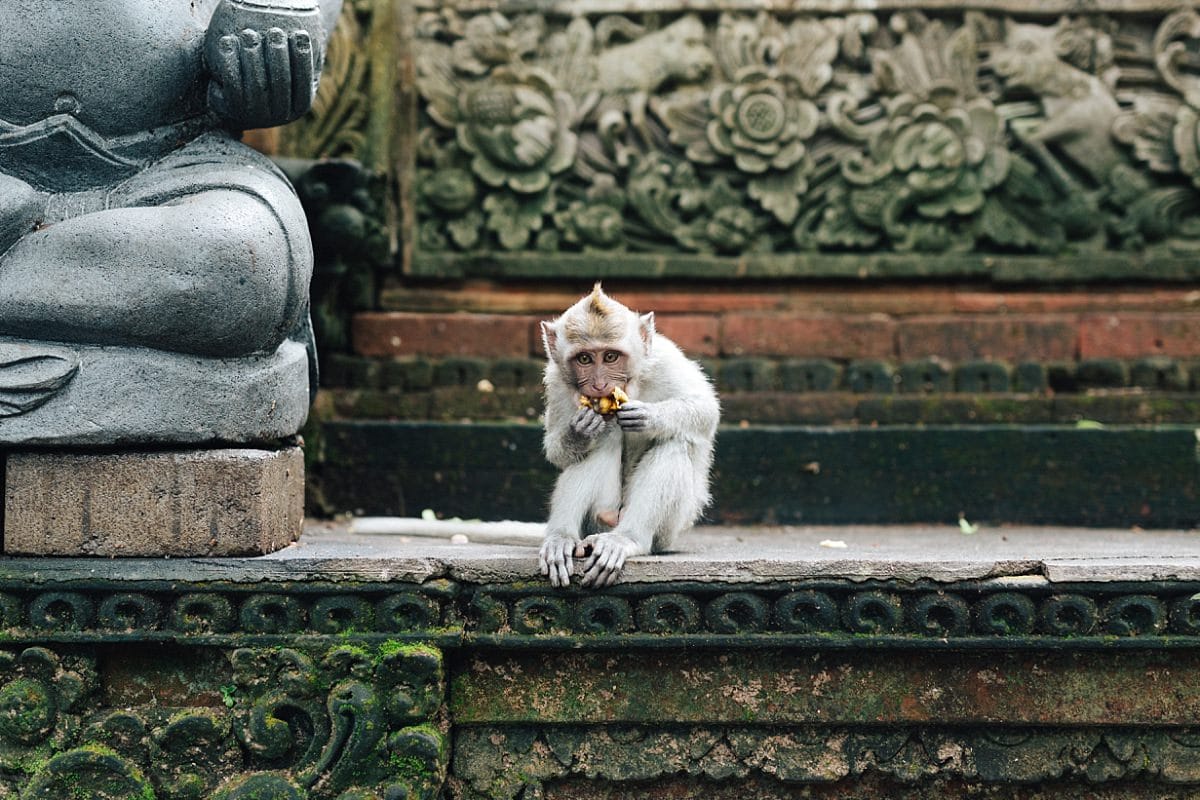 A beautiful view of Bali with Bali Travel Photographer Jack Chauvel